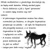 Ha ha dobre