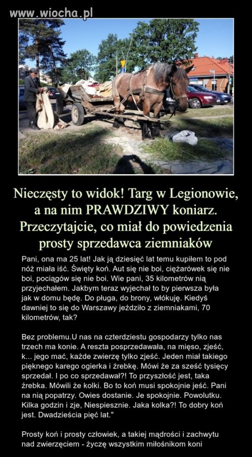 Szacunek dla tego pana!