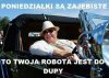 Chyba ma rację.
