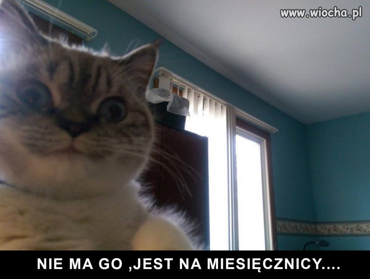 Z wczoraj
