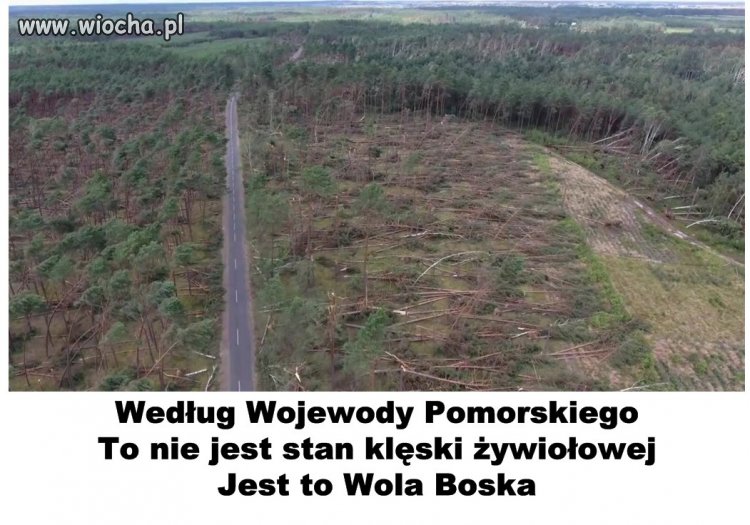 Proszę sie nie martwić wszystko pod kontrolą