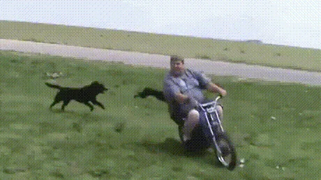 Uauuu...
