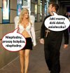 Rozmówki...