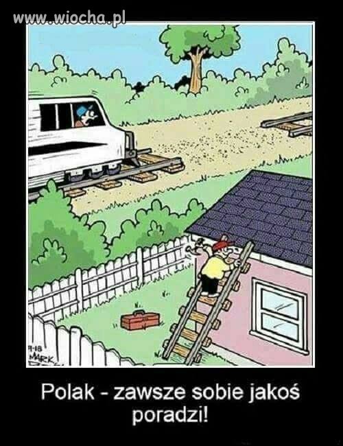 Polak potrafi