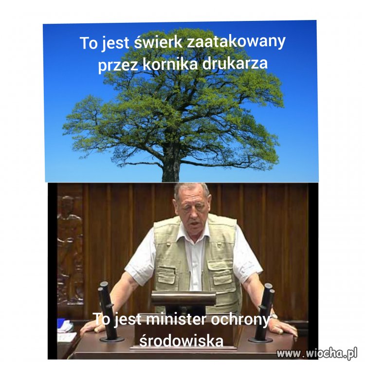 Są trzy prawdy ...
