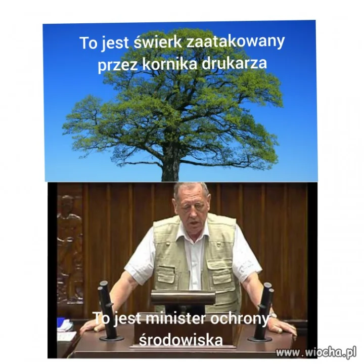 Są trzy prawdy ...