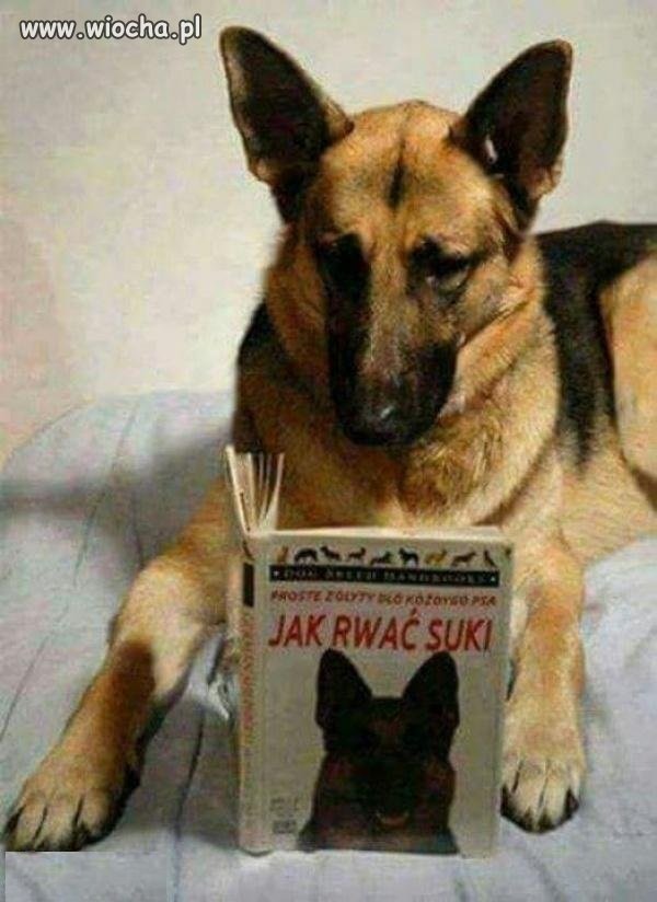 Trzymać krótko na smyczy