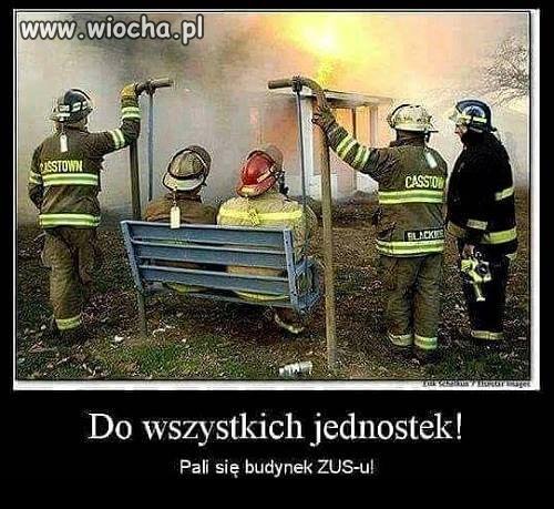 Bardzo szybka akcja.