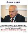 Brawo Stefan