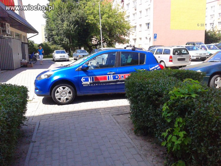 Nauczyciel Szkoły jazdy znalazł prawo jazdy w Lays