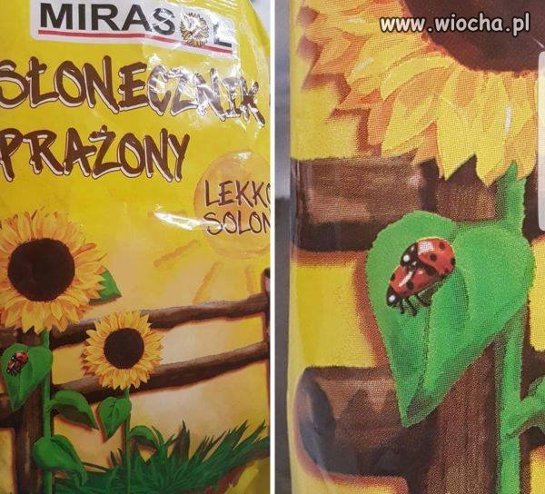 Miłość nie wybiera