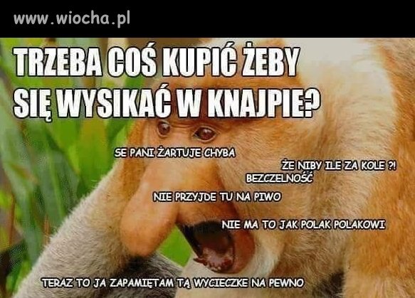 Złodzieje!!!