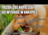 Złodzieje!!!
