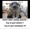 Jedno pytanie