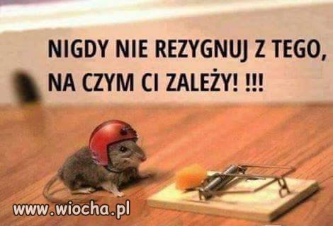 Mądre...