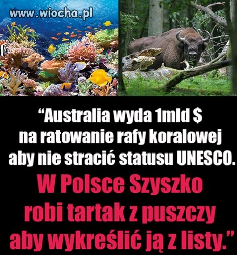 Jak tego dziada