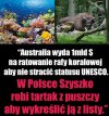 Jak tego dziada