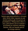 Robią więcej dla ofiar, niż te całe organizacje