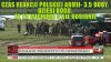 Szczęście w nieszczęściu