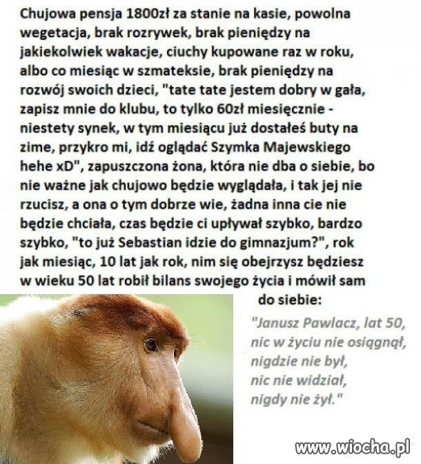 Bilans Życia
