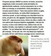 Bilans Życia