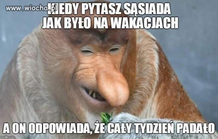 Sąsiad