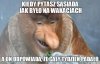 Sąsiad