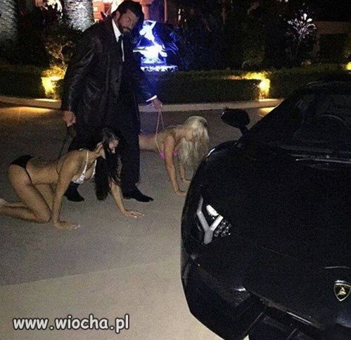 Aukcje w Janowie zakończone sukcesem