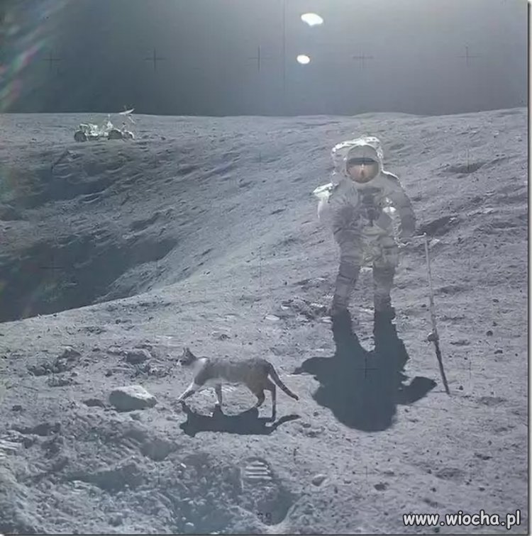Z tajnych archiwum NASA.