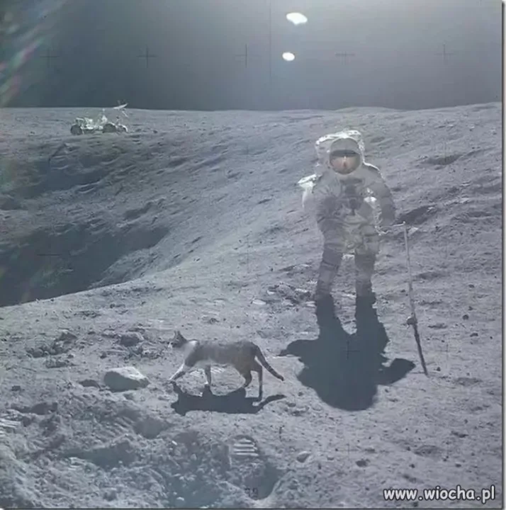 Z tajnych archiwum NASA.
