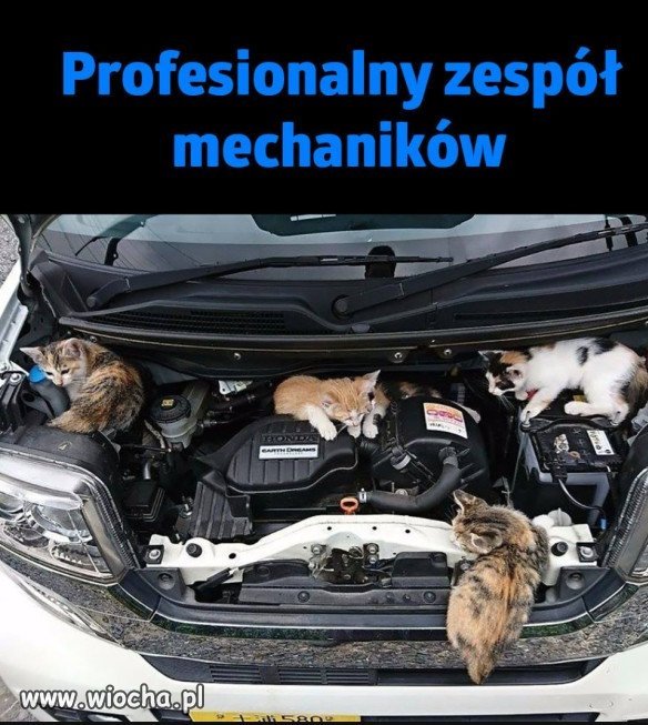 Bez tytułu