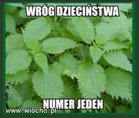 Chyba teraz też