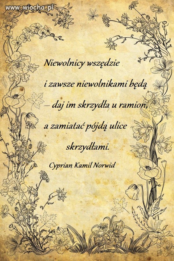 Pomyslałem że zaniose kaganek oświecenia