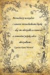 Pomyslałem że zaniose kaganek oświecenia