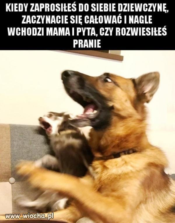 Wszystko zepsuła