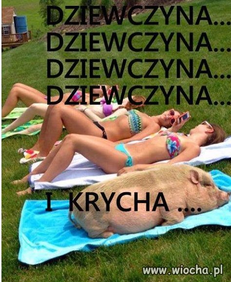 łoj tam łoj tam
