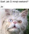 Poniedziałek w pracy