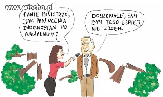 Polska w trocinach
