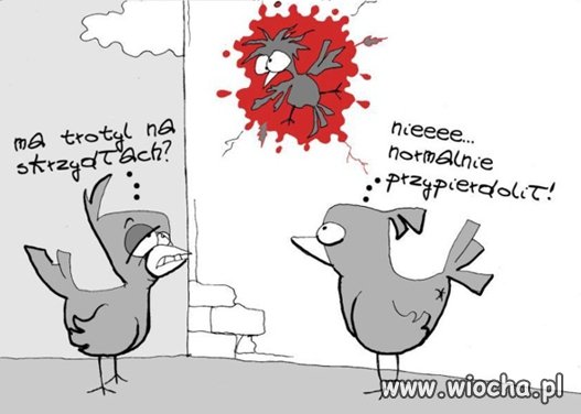 Dyskusja z wyznawcą Jarka