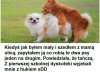 Kiedyś