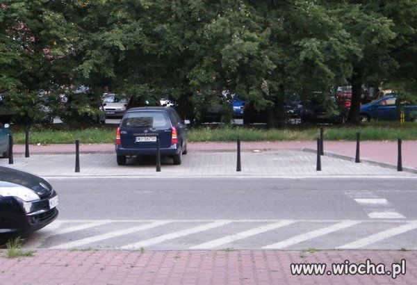 Wszystko 