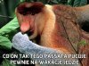 Co on tak tego passata pucuje 