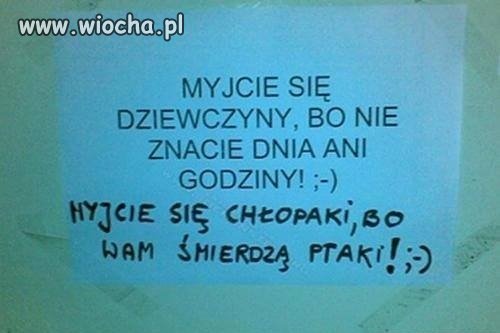 Trafna riposta