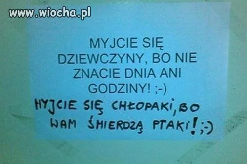 Trafna riposta