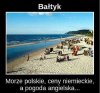 Chyba coś w tym jest