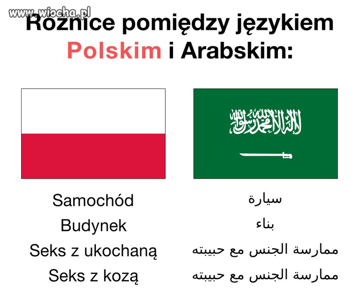 Nawet ciekawy"język"
