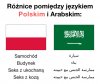Nawet ciekawy"język"