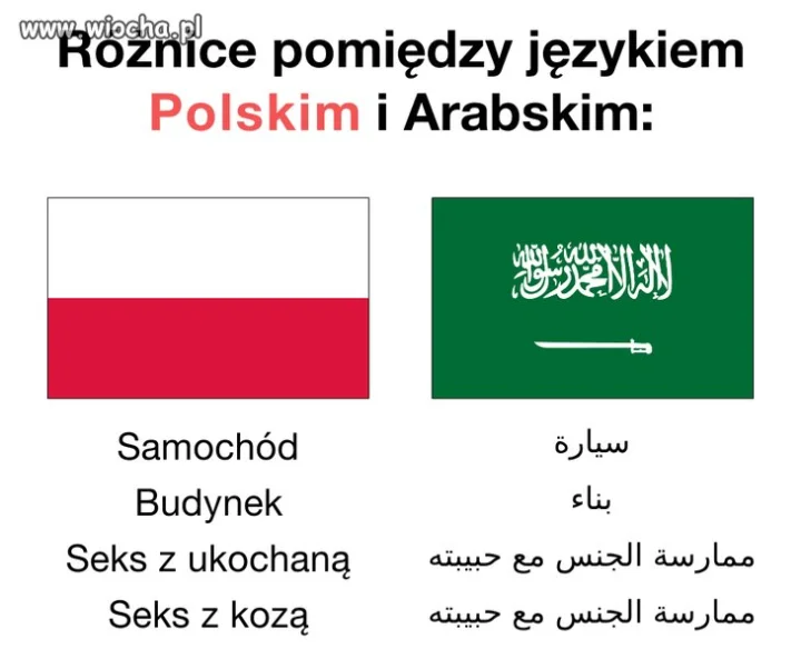 Nawet ciekawy"język"