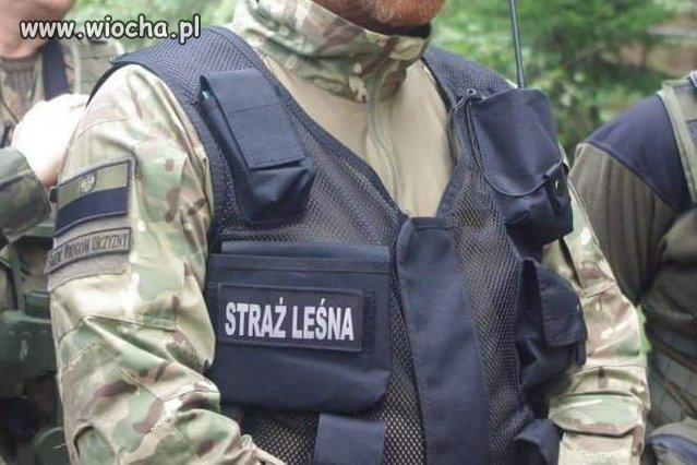 Obrońców puszczy czeka śmierć?