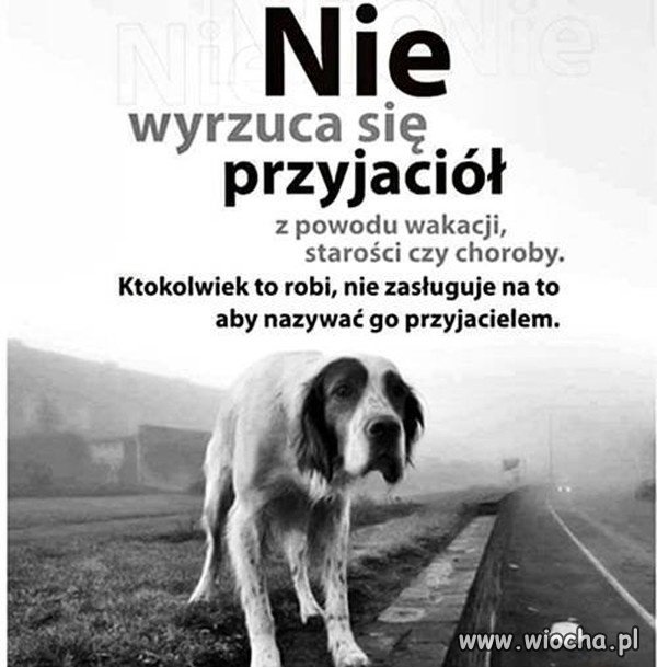 Szkoda, że ludziom trzeba o tym przypominać